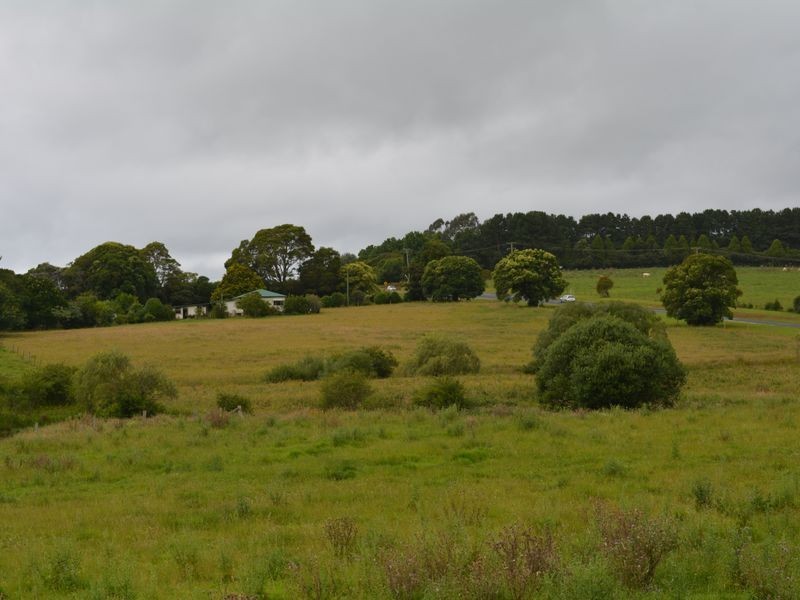 3926 Waterfall Way, Dorrigo NSW 2453