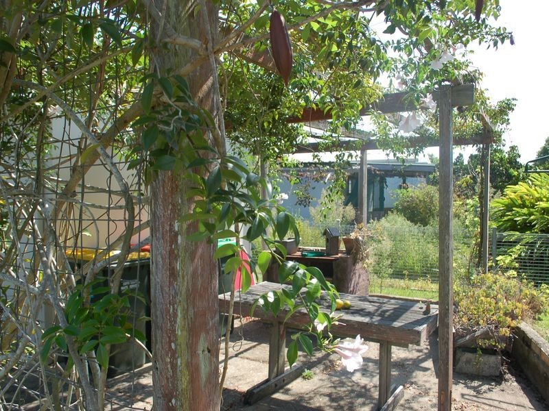 40 Pilot Street, Urunga NSW 2455