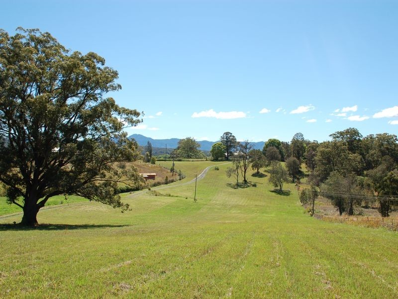 163 Waterfall Way, Raleigh NSW 2454