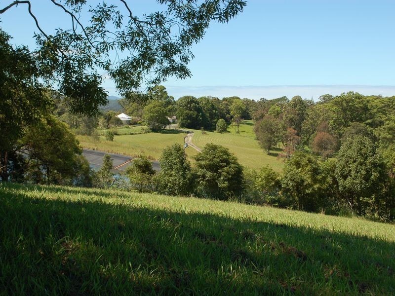 163 Waterfall Way, Raleigh NSW 2454