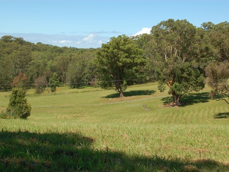 163 Waterfall Way, Raleigh NSW 2454