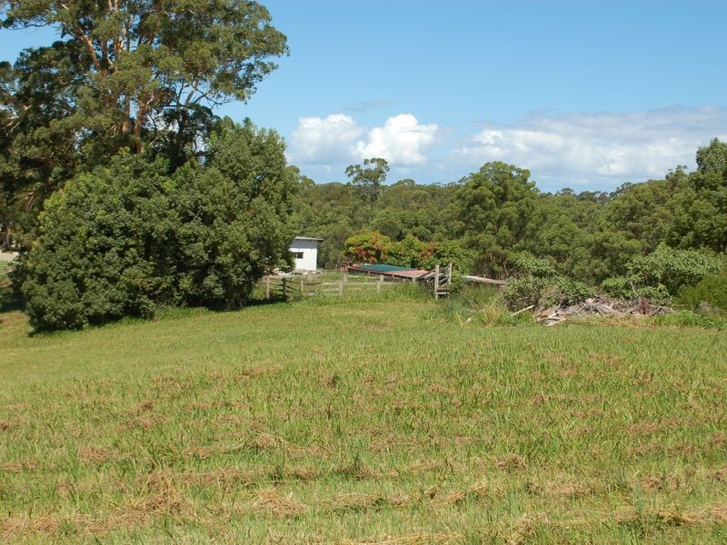 163 Waterfall Way, Raleigh NSW 2454