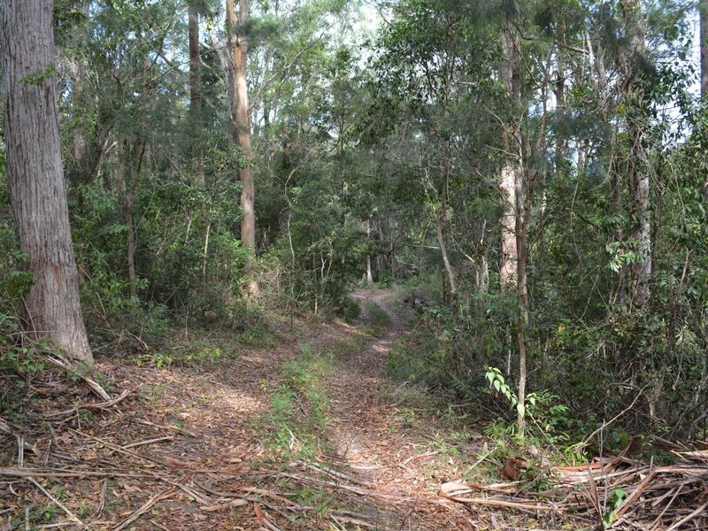 313 South Arm Road, Urunga NSW 2455