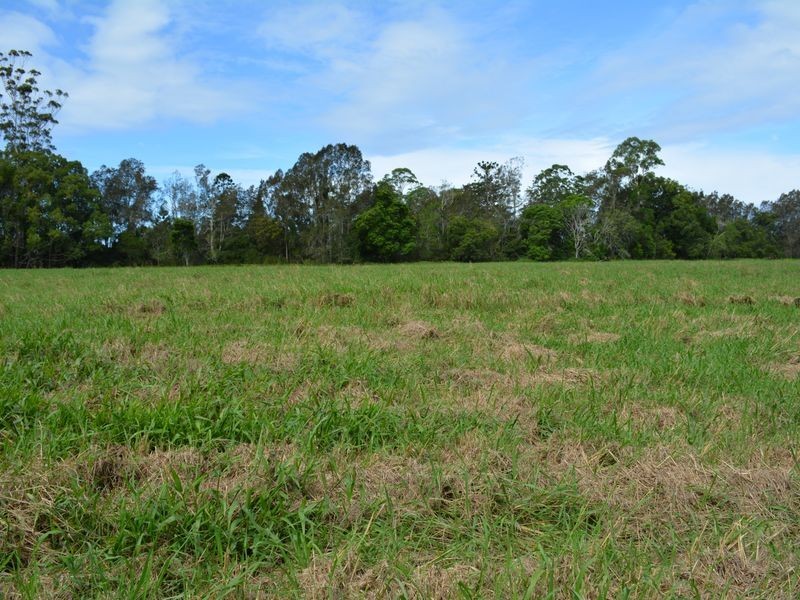 313 South Arm Road, Urunga NSW 2455