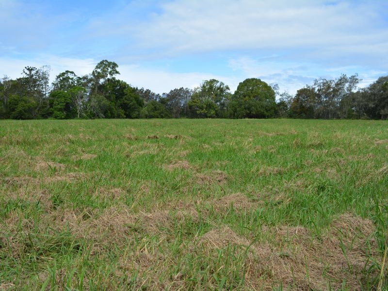 313 South Arm Road, Urunga NSW 2455