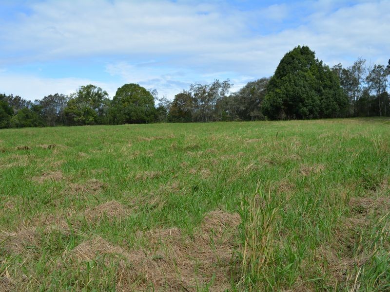 313 South Arm Road, Urunga NSW 2455