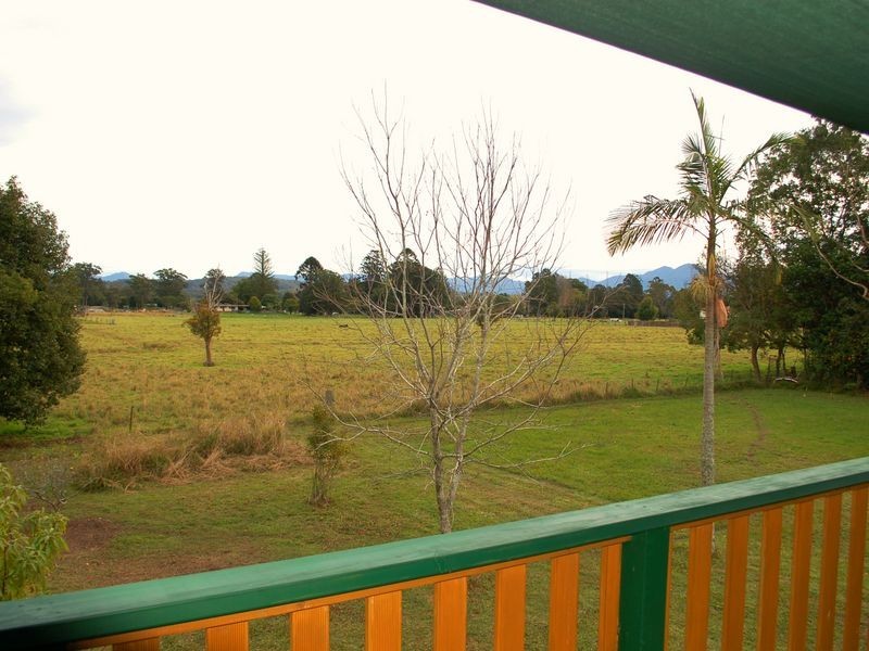 50 Victor Street, Raleigh NSW 2454