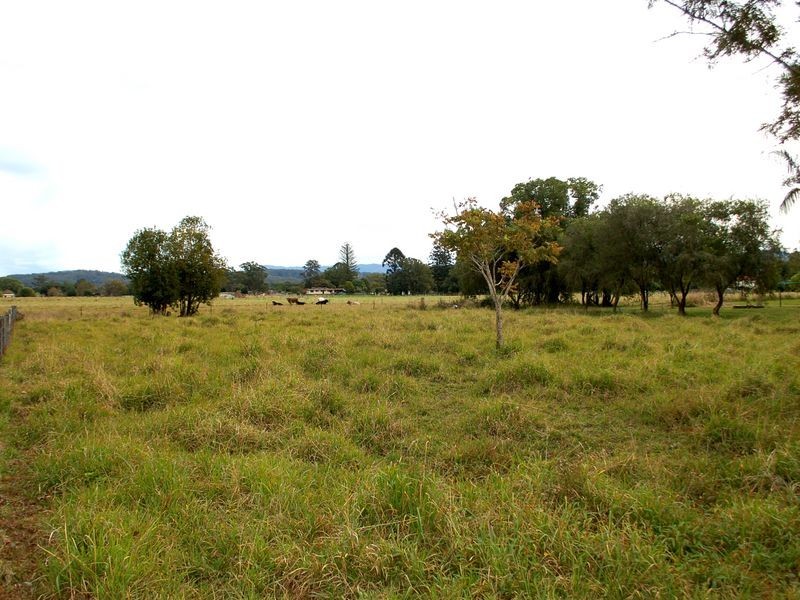 50 Victor Street, Raleigh NSW 2454