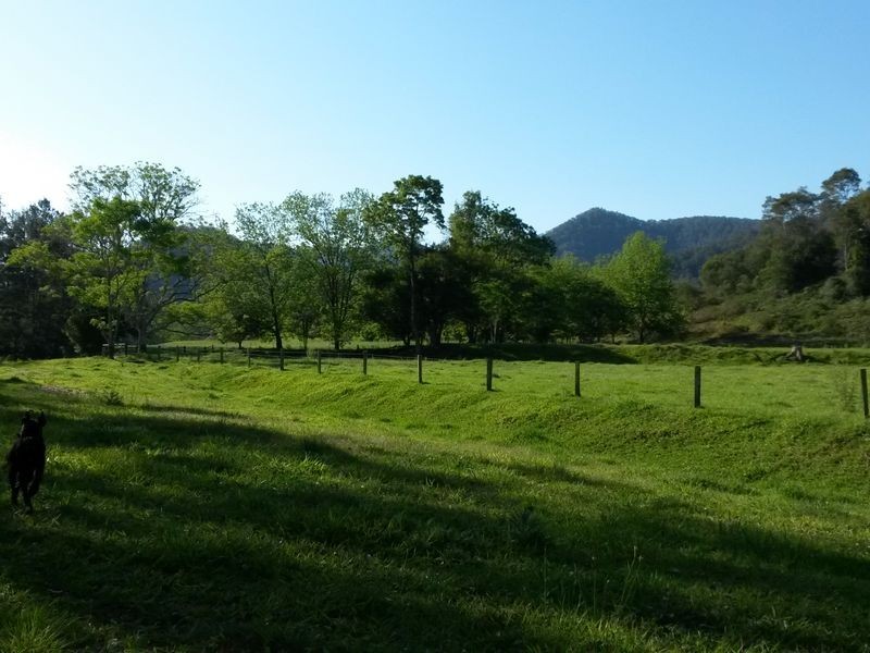 2140 North Arm Road, Bowraville NSW 2449