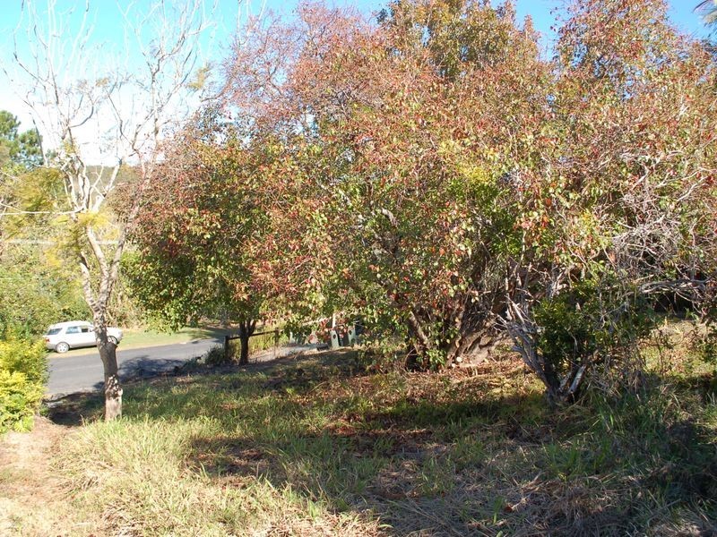 50 Hillside Drive, Urunga NSW 2455