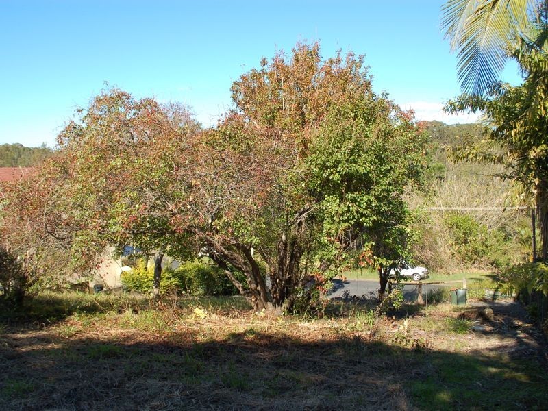 50 Hillside Drive, Urunga NSW 2455