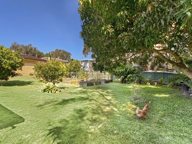 17 Bellingen Street, Urunga NSW 2455