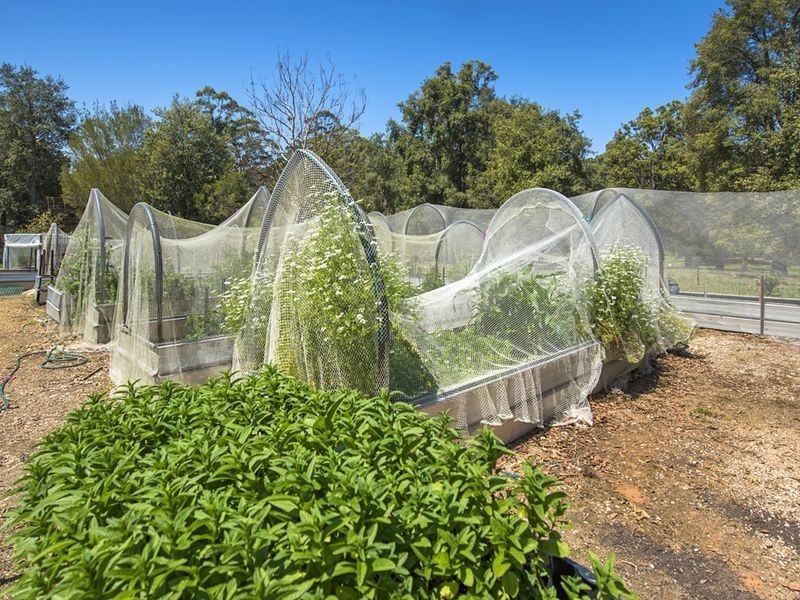 1051 Martells Road, Urunga NSW 2455