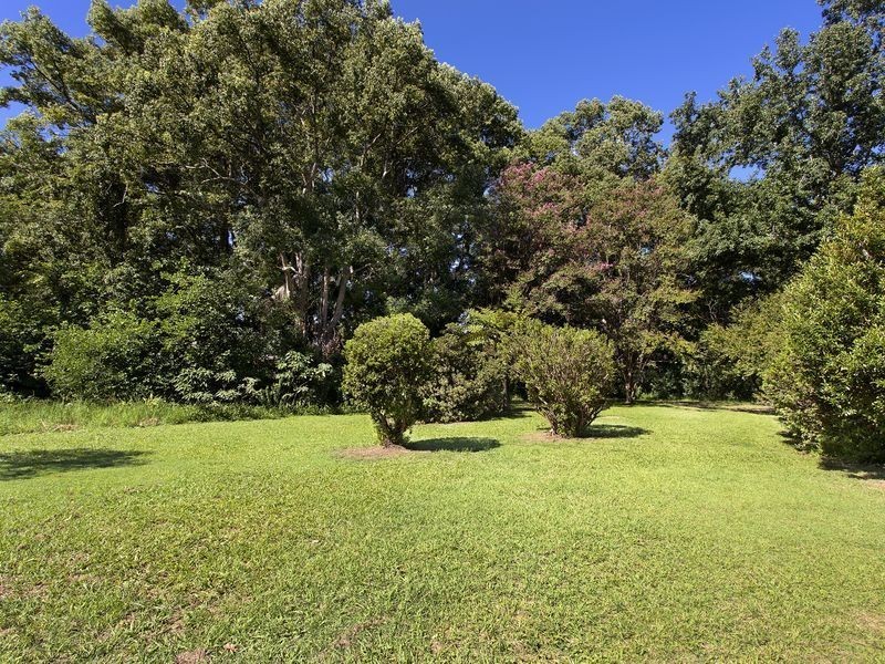 18 Ford Street, Bellingen NSW 2454