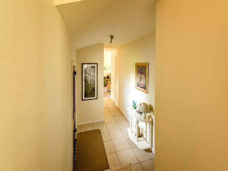 207 Maynards Plains Road, Dorrigo NSW 2453