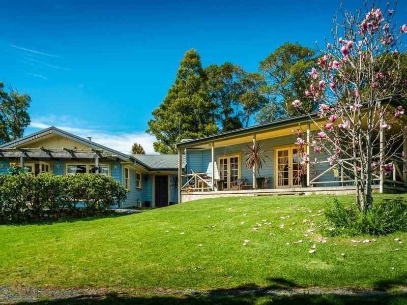 207 Maynards Plains Road, Dorrigo NSW 2453