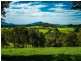 207 Maynards Plains Road, Dorrigo NSW 2453