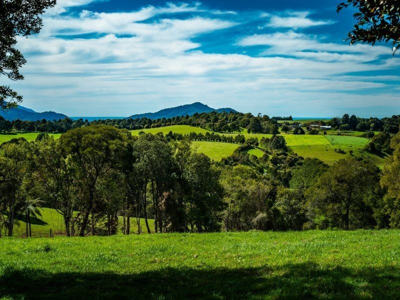 207 Maynards Plains Road, Dorrigo NSW 2453