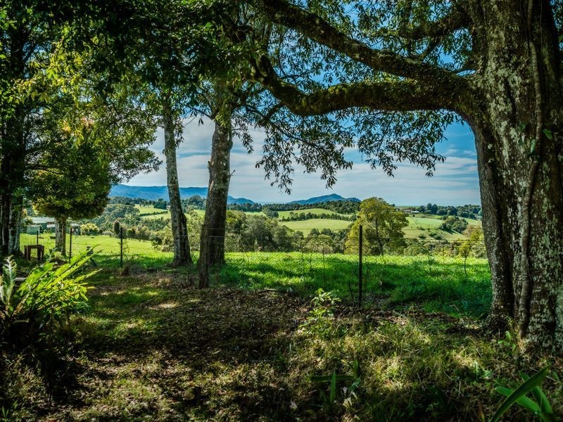 207 Maynards Plains Road, Dorrigo NSW 2453