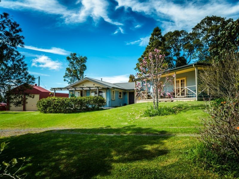 207 Maynards Plains Road, Dorrigo NSW 2453
