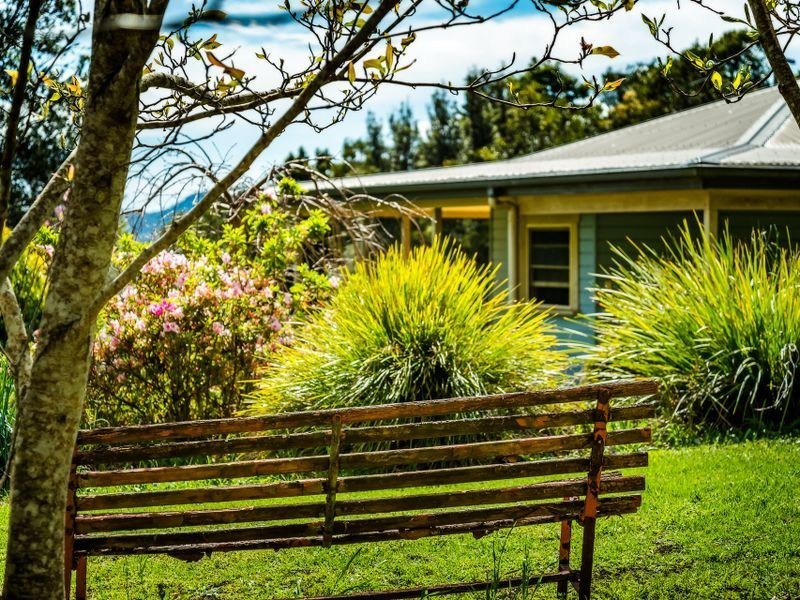 207 Maynards Plains Road, Dorrigo NSW 2453