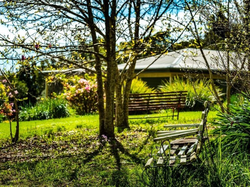 207 Maynards Plains Road, Dorrigo NSW 2453