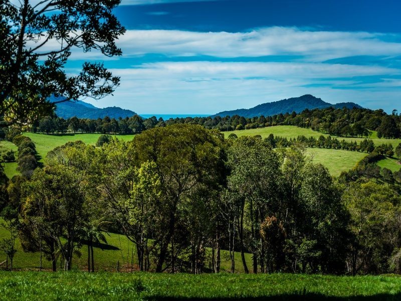 207 Maynards Plains Road, Dorrigo NSW 2453