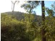 Lot 98 Cooplacurripa, Cooplacurripa NSW 2424