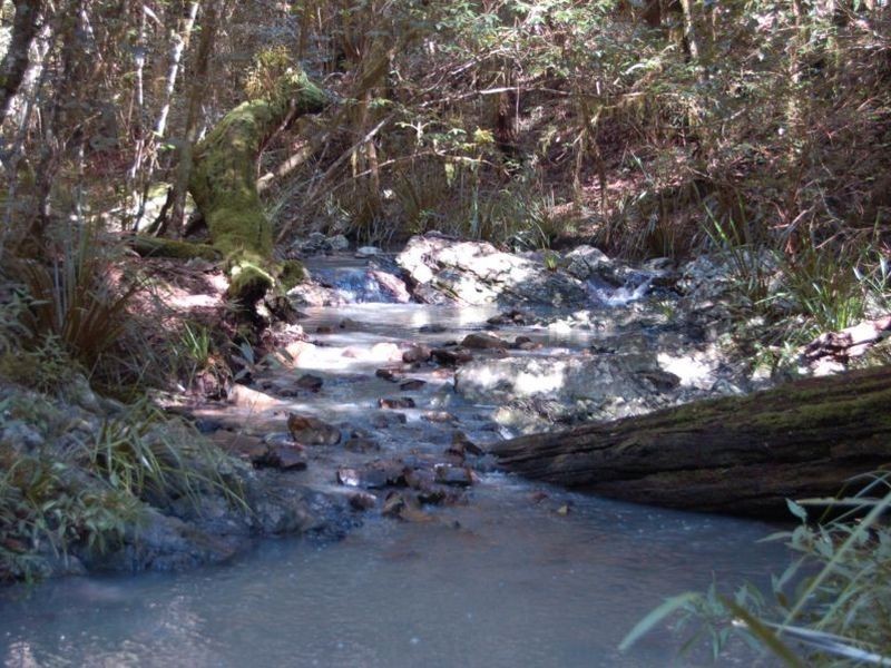 Lot 98 Cooplacurripa, Cooplacurripa NSW 2424