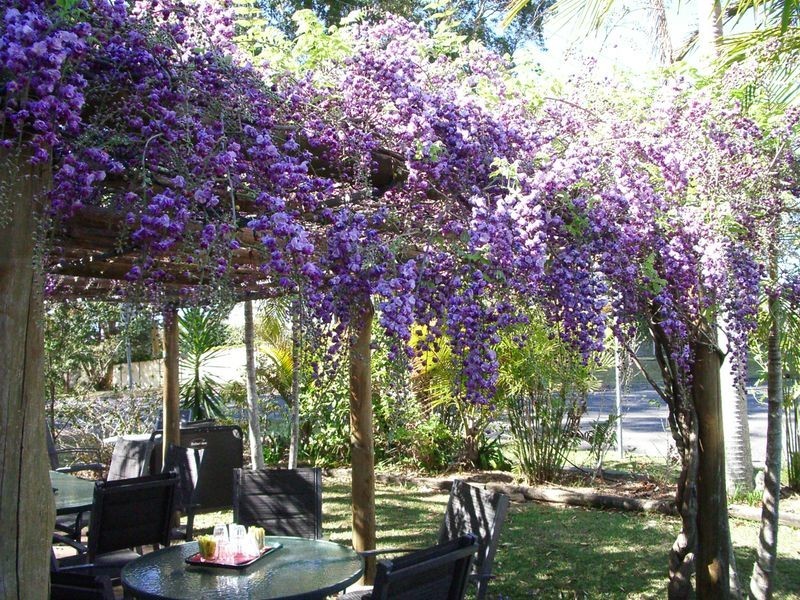 6 Ferry Street, Urunga NSW 2455