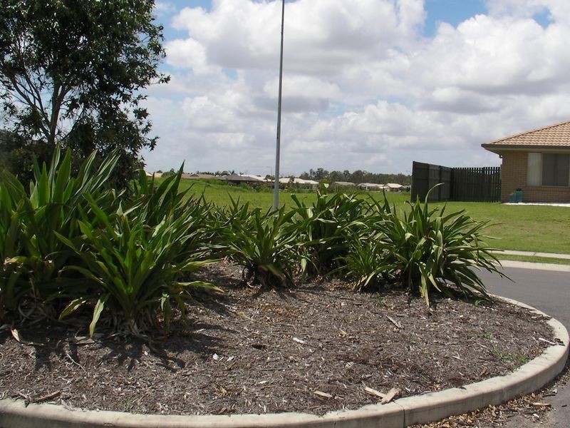 Point Vernon QLD 4655