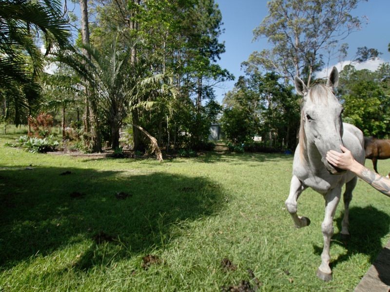 75 Homstead Road, Morayfield QLD 4506