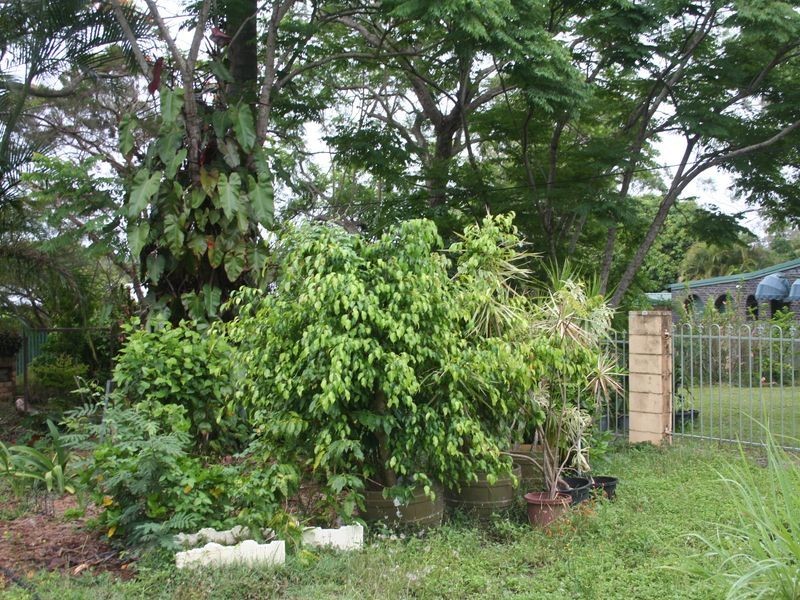 9 Rebecca Street, Burpengary QLD 4505