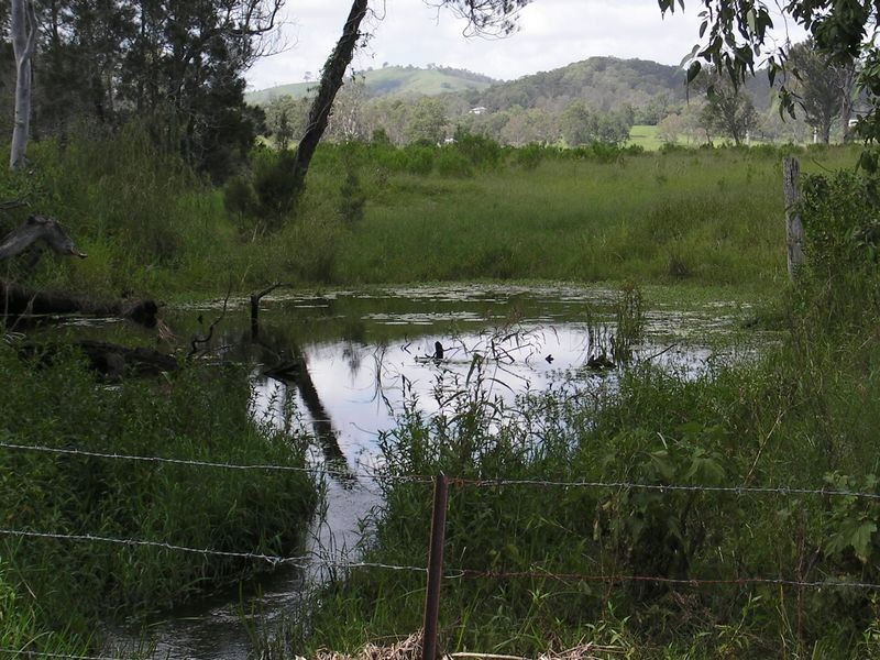 205 Montanus Drive, Woodford QLD 4514