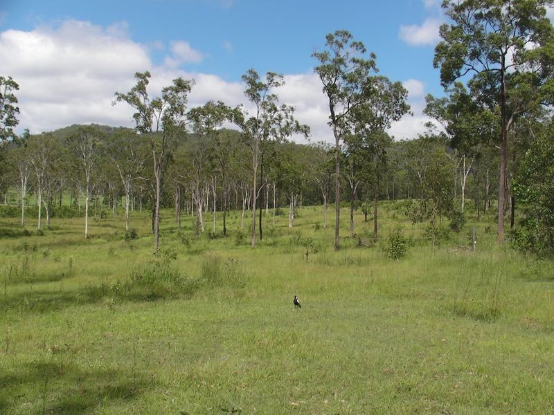 205 Montanus Drive, Woodford QLD 4514