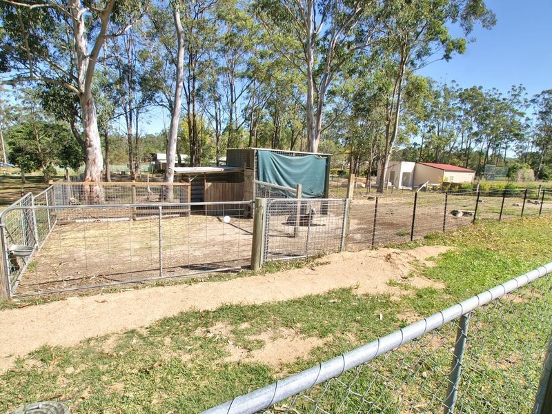 Morayfield QLD 4506