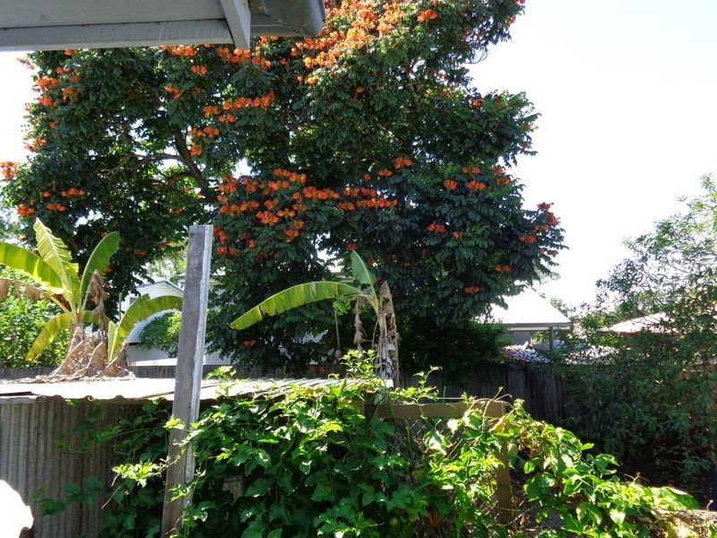 Burpengary QLD 4505