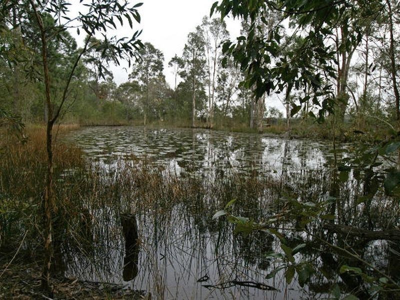 323 Buckley Road, Burpengary QLD 4505