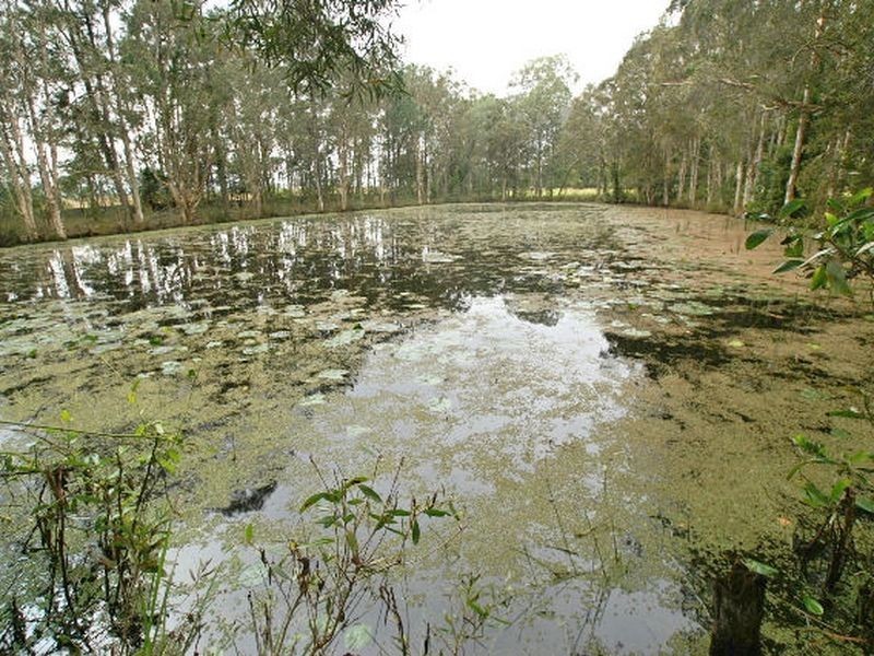 323 Buckley Road, Burpengary QLD 4505