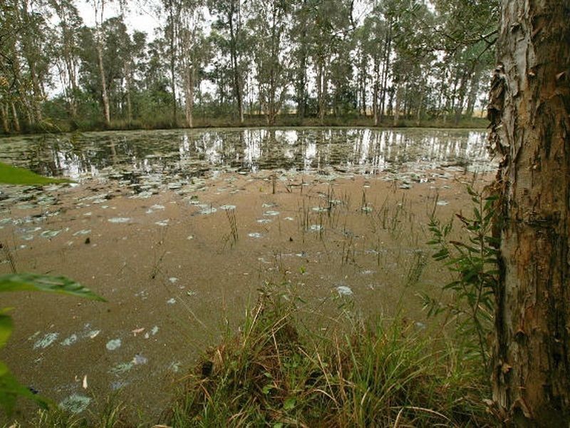 323 Buckley Road, Burpengary QLD 4505