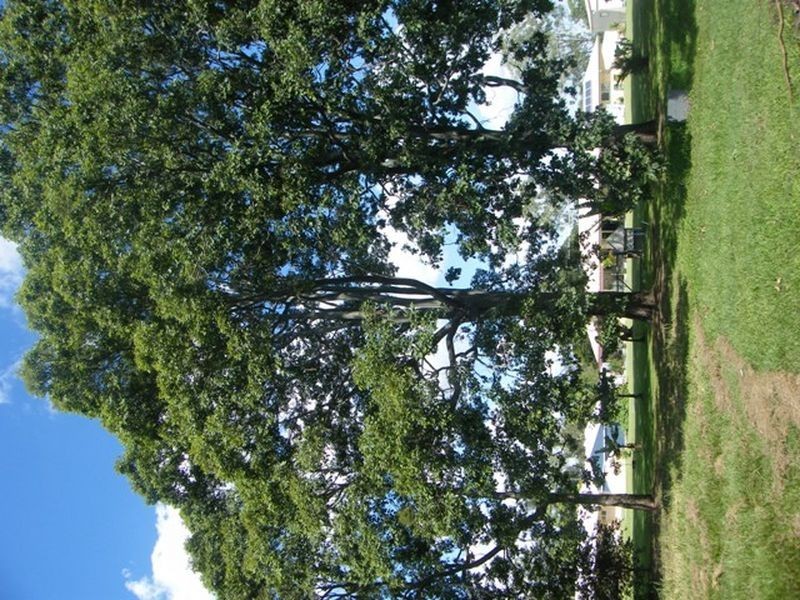 LOT 6 Simone Court, Caboolture QLD 4510