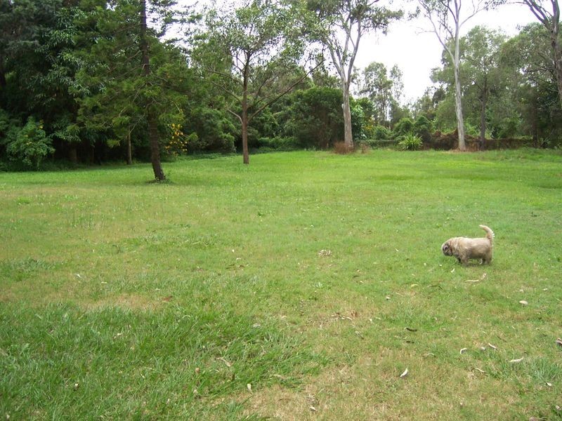 37 Jamaica Drive, Deception Bay QLD 4508