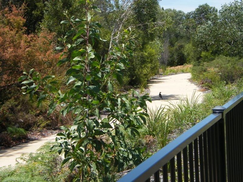 7 Grice Crescent, Ningi QLD 4511