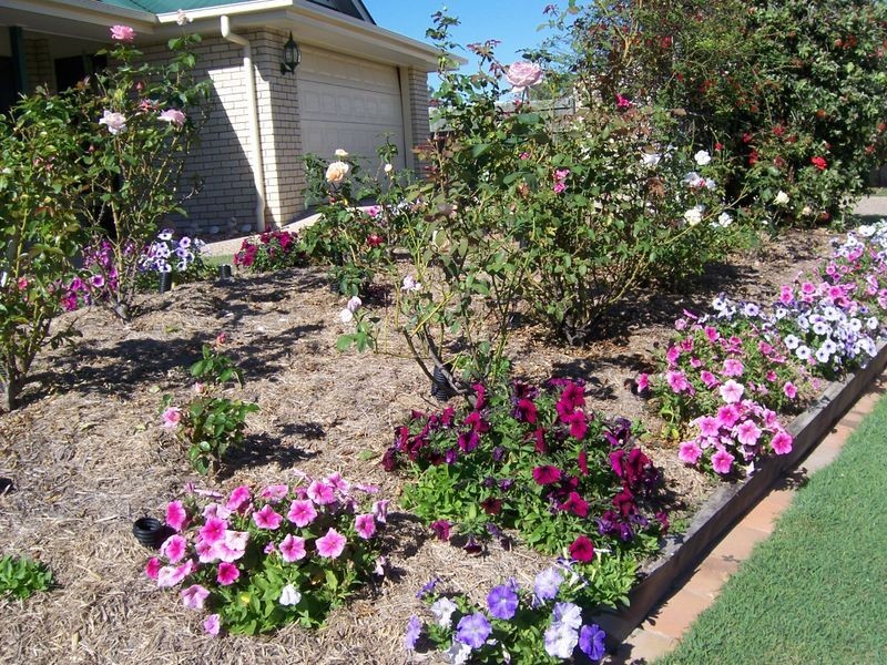 8 Geneva Cr., Narangba QLD 4504