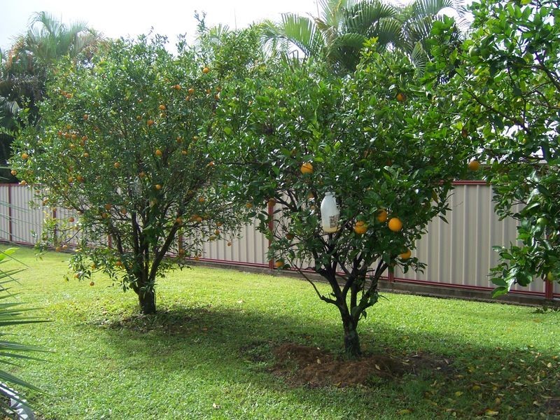 42-44 FLEET Street, Burpengary QLD 4505