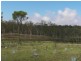 Lot 5 Scotsman Heights Estate, Gin Gin QLD 4671