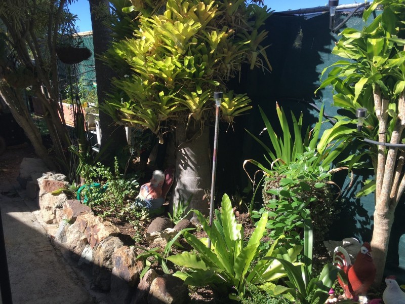 201/764 Morayfield Road, Burpengary QLD 4505