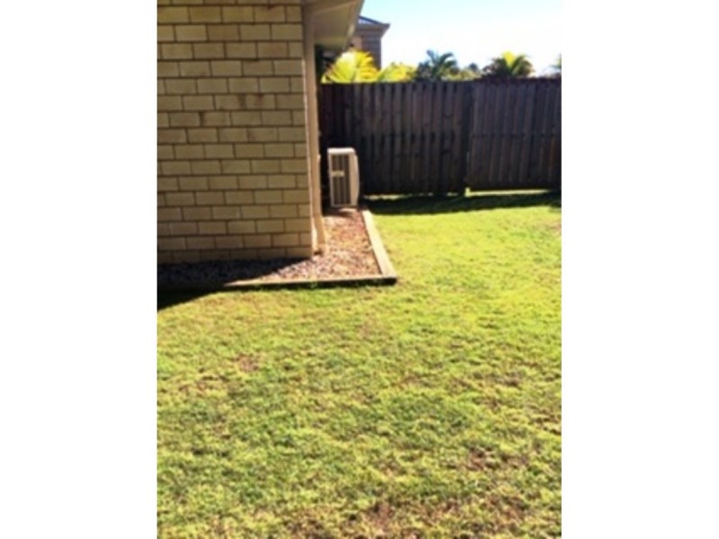 49 Tuckeroo Street, Narangba QLD 4504