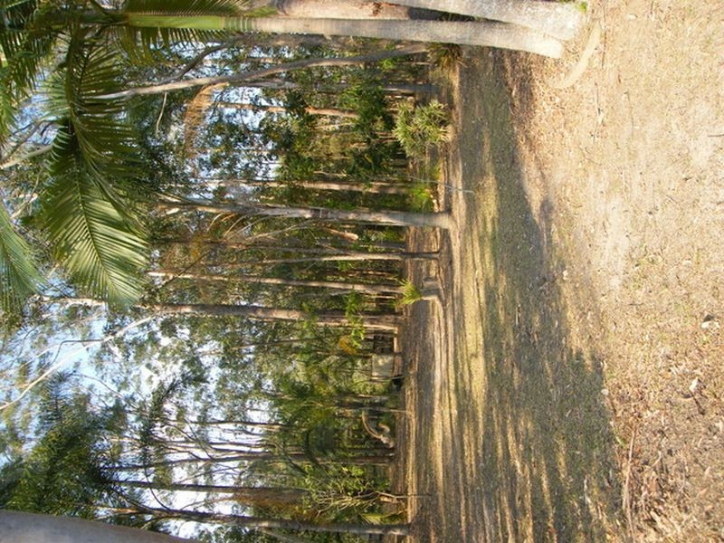 93 Hunt Rd, Burpengary QLD 4505