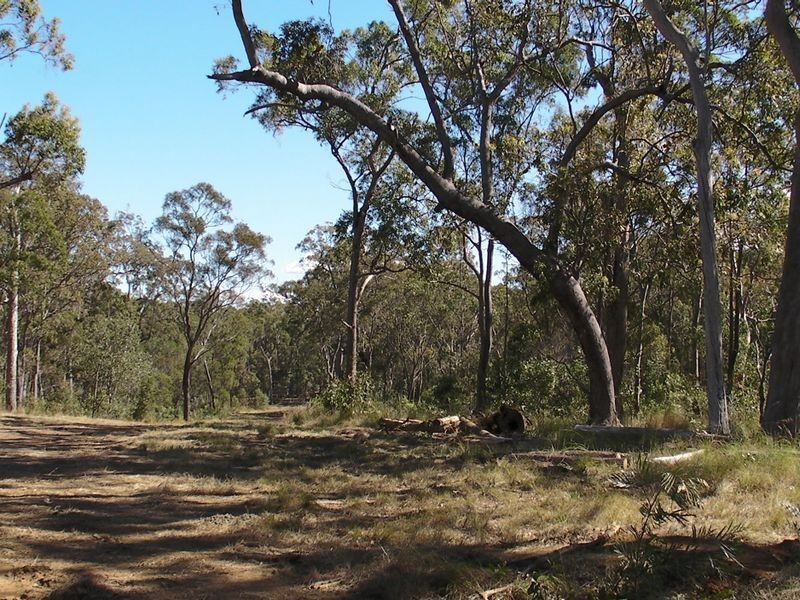 South Kolan QLD 4670